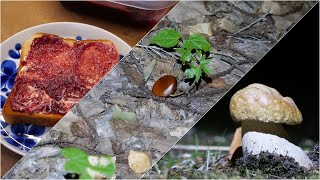 【夜のキノコ狩り】栗ご飯＋イグチ鍋 ／ ヤマブドウジャムパン食べながらゴールデンカムイを語る 20210926