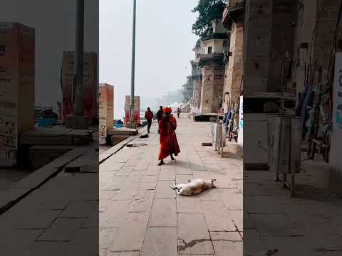 #shorts #viral #varanasi #kashi #apnabanaras #banaras #reels #assighat #ganga #mahadev #jai #funny