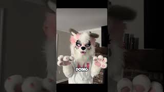 Furries NEED to see this!!!