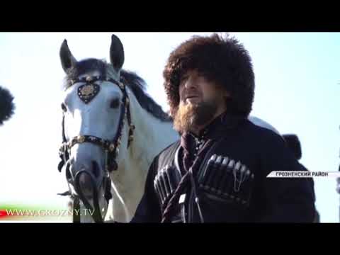 В Чечне прошёл самый массовый в мире строевой конный поход в национальной одежде