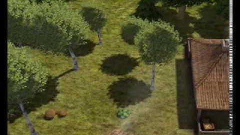 Banished screen crash