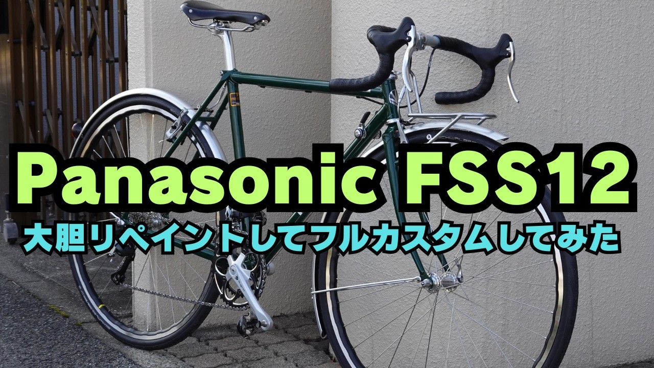 Completely Refurbished] Panasonic FSS12 Repainted and Fully