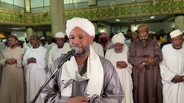 شيخ الزين محمد احمد - سورة القلم