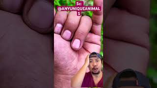 Apa Hayo Tebak Dibalik Tangan