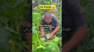Ini Parah , Tenang - Tenang 🤣#shorts