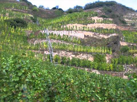 Winningen Mosel Winningen Mosel
