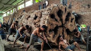 Giant Trembesi Unveiled – Stunning Natural Grain