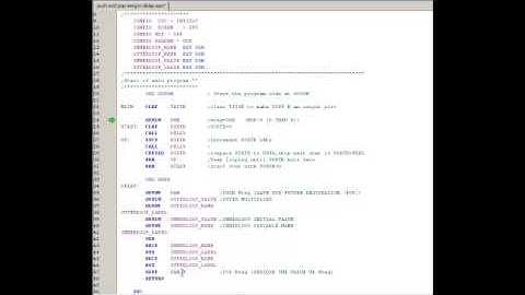 PIC asm Preserving the Wreg in Delay Loops