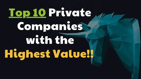 Top 10 Unicorn Companies at Start of 2023