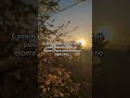 #viralvideo % #fe #amor #ansiedade #reflexão #frases
