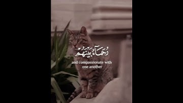 #قرآن #اكسبلور #راحة_نفسية #آيات #لايك #حالات_واتس