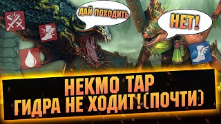 От НУБА ДО ПРО, подробный гайд на НЕКМО ТАРА. Лучший саппорт - RAID Shadow Legends