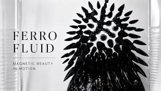 Ferrofluid Display | BMPCC OG