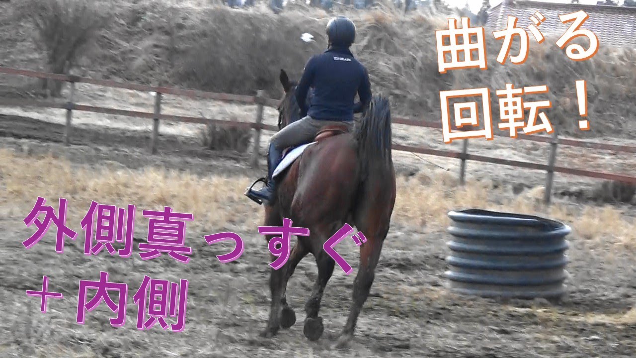 回転は外があって内【元乗馬インストラクターの乗馬HowTo】