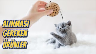 MUTLAKA ALINMASI GEREKEN KEDİ ÜRÜNLERİ ❗ (En Gerekli Kedi Malzemeleri)