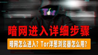 2023最新进入暗网方法，进入暗网，暗网怎么进入？Tor洋葱浏览器怎么用？，Tor Browser，多层级网桥连接，暗网首选；