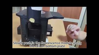 Upgrade CKX53 with Mshot Fluorescence Module