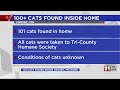 101 cats removed from hoarded Minnesota home