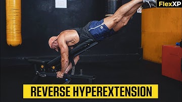 Reverse Hyperextension Form & Tutorial Guide (30 Seconds) - FlexXP