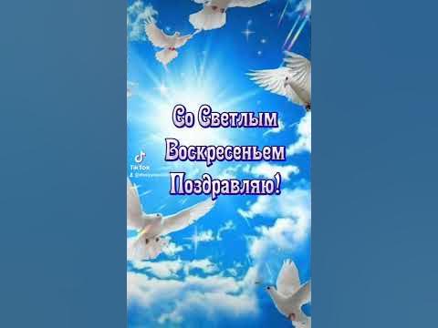 #прощённоевоскресенье - YouTube