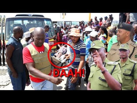 Video: Primula - Mjumbe Mkali Wa Chemchemi