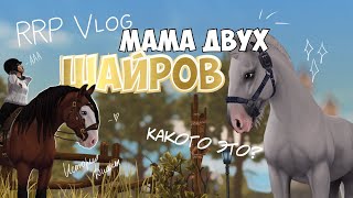 RRP VLOG|STAR STABLE|МАМА ДВУХ ШАЙРОВ|"СНЕЖНАЯ"