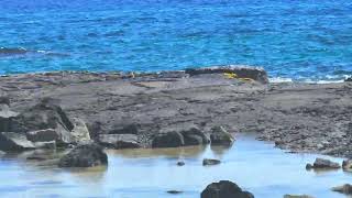 Kohanaiki Beach Park by the Kona Airport