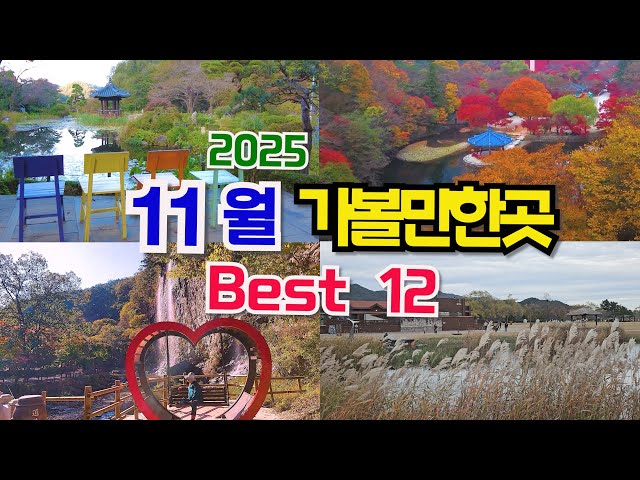 25년 11월 여행지추천 베스트12, 최고의 여행지선정, 전국단풍명소, 꽃축제 절정, 11월 가볼만한곳, 가…