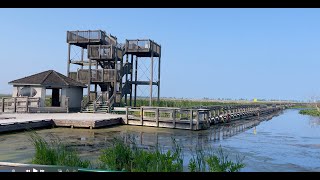 Point Pelee National Park, Ontario, Canada