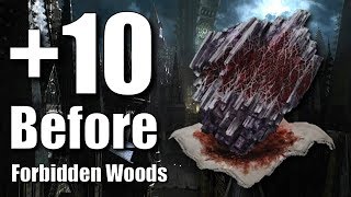 Bloodborne : +10 🅱️efore Forbidden Woods