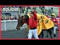 Bold eagle une carrire hors normes