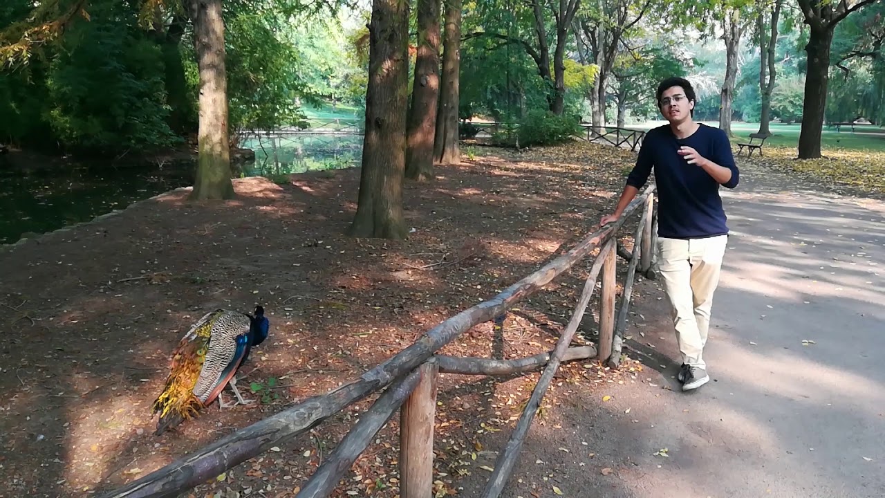 La Nascita di Faenza