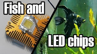 A Short Project Involving LEDs, a Fish Tank, and some Laziness