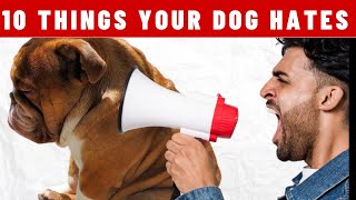 10 THINGS YOUR DOG HATES by Aiamazing Top 10 1,216 views 1 year ago 7 minutes, 18 seconds