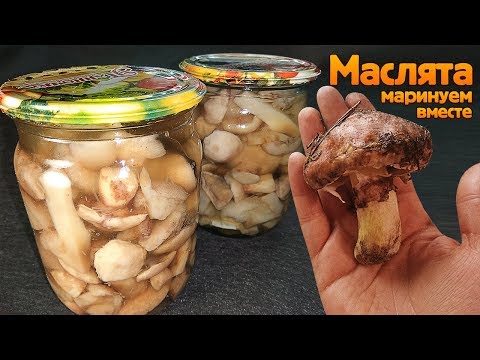 Маринованные маслята своими руками