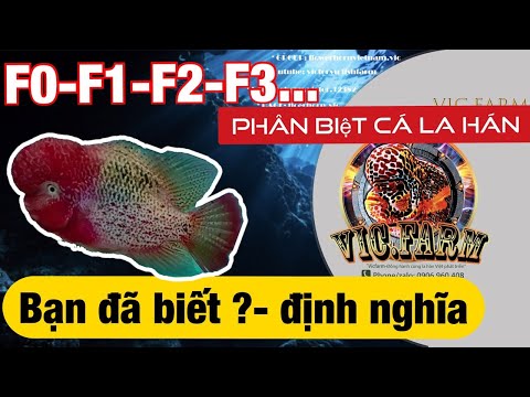 Video: Thế hệ f1 và f2 là gì?