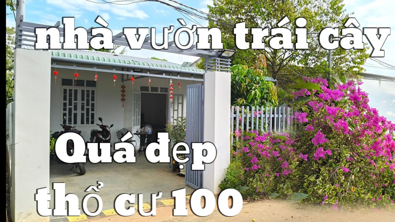 Quá Mê mẫn khi bước vào căn nhà vườn này ,đủ loại trái cây ,nhà cửa kiên cố BRVT hotline :0777444662