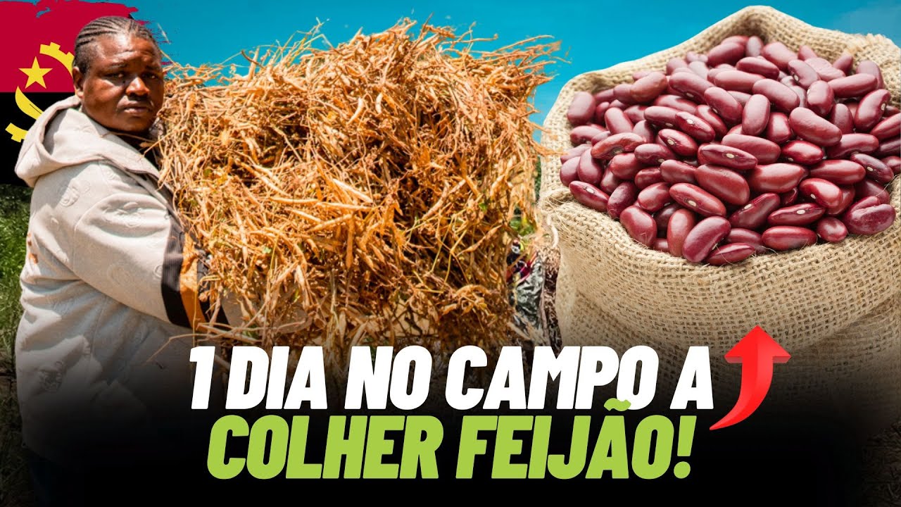 I spent the DAY harvesting BEANS and you WON'T BELIEVE the result.