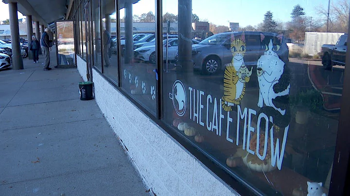 New Hope Police Investigate Break-In at Café Meow