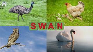 Complete the words and save the animals | English Phonics | Full Gameplay screenshot 4