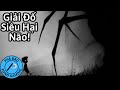 Tôi Phá Đảo LIMBO