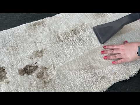 Angetestet Thomas AQUA FleckWasher