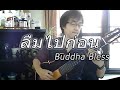 ลืมไปก่อน Buddha Bless / Fingerstyle Guitar Cover / Nobu Matsumura