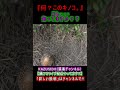 何？このキノコ。