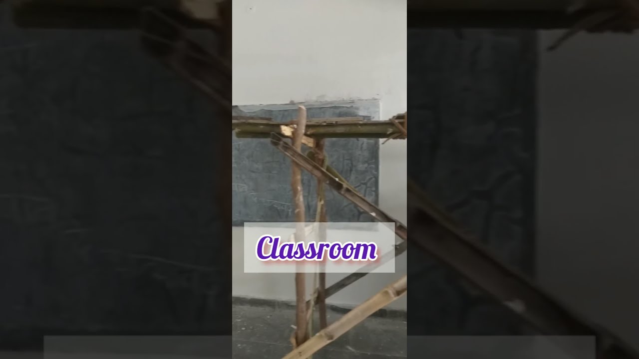 Science College Renovation Day-3