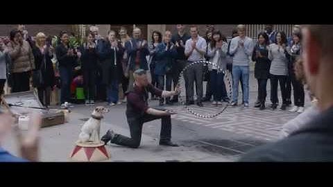 Master your smart tech with an O2 Guru - O2 TV advert