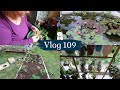 Vlog 109un nouveau carr potager  jai fini linstallation des hoyas  une grosse frayeur  etc