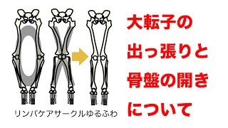 大転子の場所と出っ張りを引っ込める方法を紹介 下半身太りの原因 大人女子のライフマガジンpinky ピンキー 大転子の場所と出っ張りを引っ込める方法を紹介 下半身太りの原因 大人女子のライフマガジンpinky ピンキー