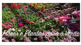 Flores e Plantas Para o Verão   2022