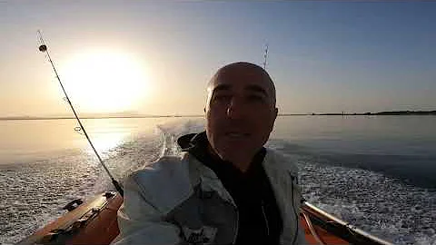 Traina con il vivo  (dentice al calasole)
